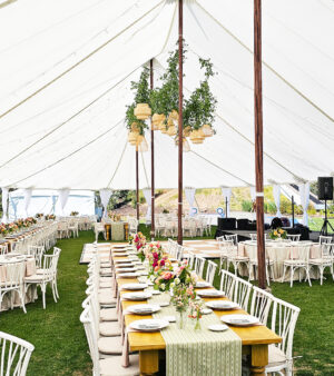 Boho Rattan Bamboo Chandelier