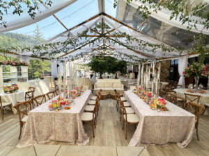40′ x 60′ Clear Top Timbertrac Canopy/Tent