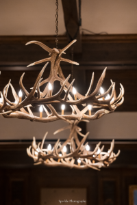 Large Elk Antler Chandelier