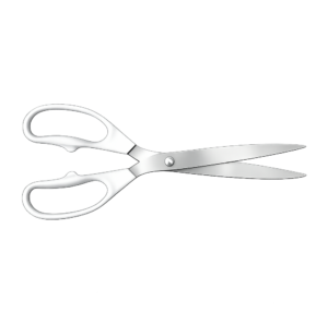 Ribbon Cutting Scissors