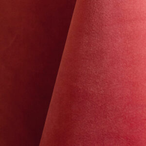 Coral Velvet Linen