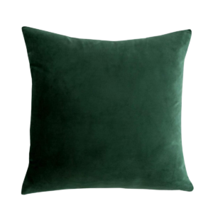 Emerald Velvet Accent Pillow 18″x18″