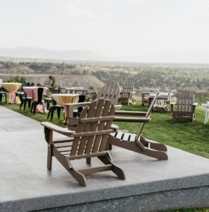 Adirondack Weather Wood Resin Chair