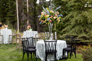 Black Willow Chair