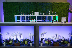 Shadow Box Bar