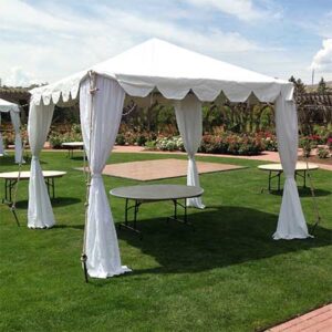 10′ x 10′ Standard Frame Canopy/Tent