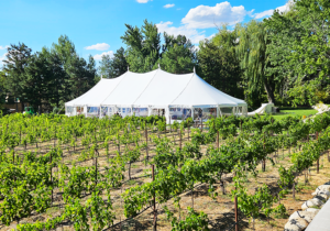 59′ x 39′ Tidewater Sailcloth Canopy