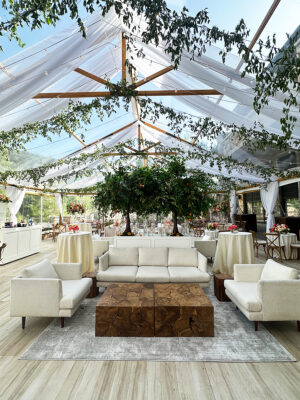 40′ x 60′ Clear Top Timbertrac Canopy/Tent