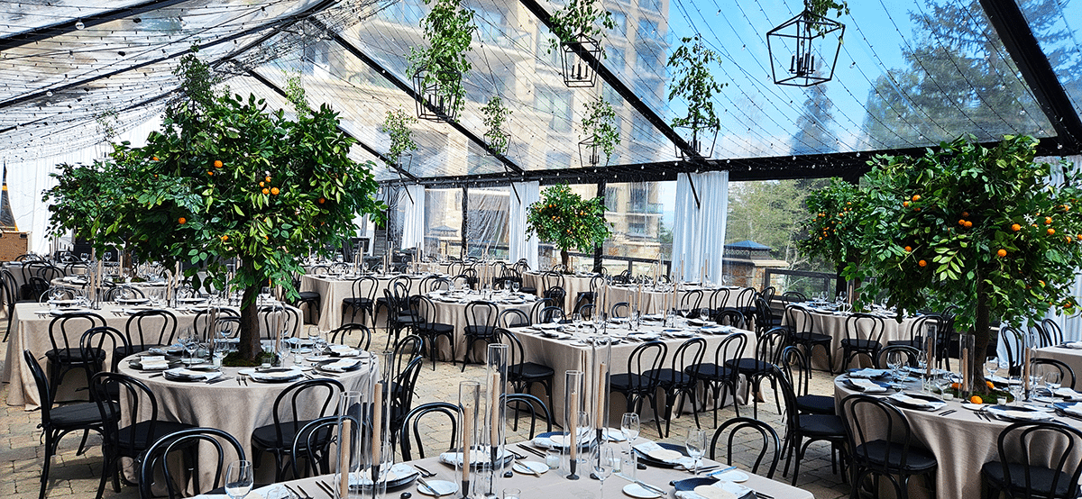 Black trim, Clear top tent with a full event set underneath the tent which has beige table linens, black bent-back chairs and mini orange trees as center pieces