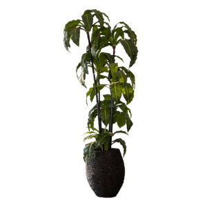 Faux Banana Palm in Decorative Planter 7.5′