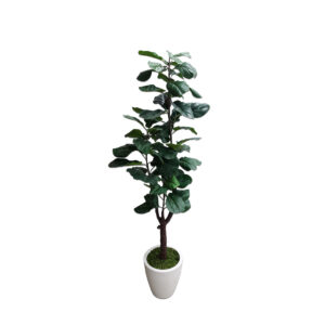 Faux Fiddle Leaf Fig Tree in White Planter 6′