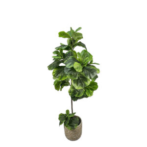 Faux Fiddle Leaf Fig Tree in Wicker Rattan Basket 5′