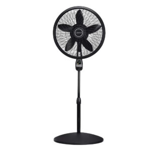 Black Floor Fan 18″