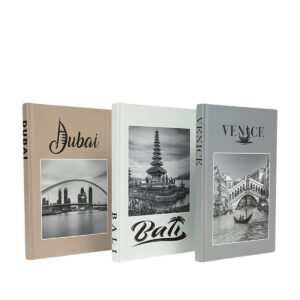 Faux Travel Book Set