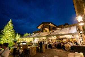 40′ x 100′ Cascade Wood Grain Canopy