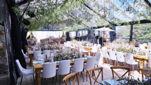 Linen Dining Chair